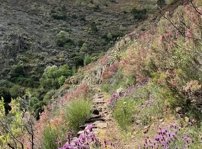 Appartement Casa Sierra De Gata - Rural *